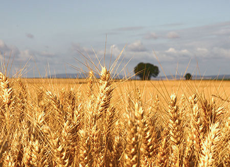 Hand in Hand, Hnde und Unterarm mit blauem Pulli, oben blauer Himmel